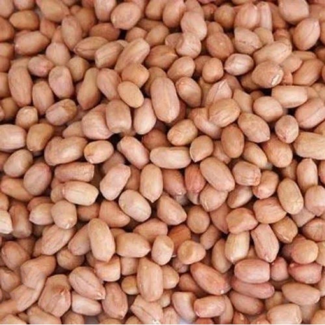 Ground Nut